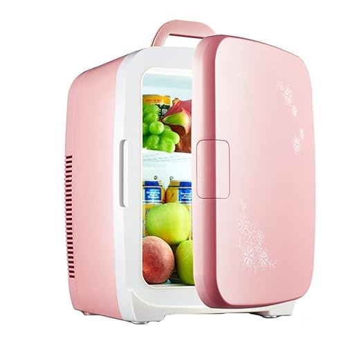 XH Shop Refrigerador pequeño Mini pequeño hogar Mini refrigerador ...