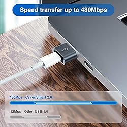 USB C Female to USB Male Adapter 5 Pack,Type C to A
