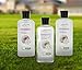 Large Bath Gift Basket - Ultimate Natural Spa Basket #1 Spa Gift Set for Mom. Prime Spa Kit! Best Pampering Gift for That Special Someone! Sulfate Free