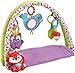 Fisher-Price Woodland Friends 3-in-1 Musical Activity Gym
