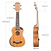 MIMIDI, 4-String Ukulele, Right (MUK-2)