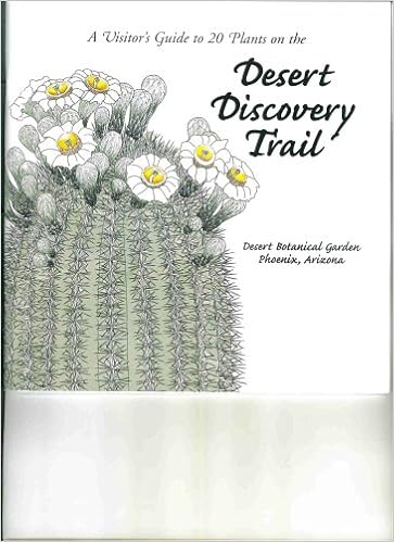 A Visitor's Guide to 20 Plants on the Desert Discovery Trail