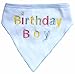 Embroidered Cute Dog Pet Cat Birthday Bandana for Cats Dogs, 100% Cotton, Blue