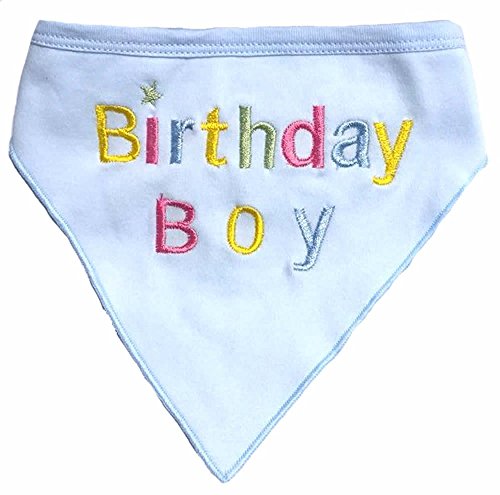 Alemon Dog Pet Birthday Bandana for Dogs, Blue