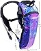 SOJOURNER Hydration Pack Backpack - 2L Water Bladder Included for Festivals, Raves, Hiking, Biking, Climbing, Running and More (Galaxy 1)