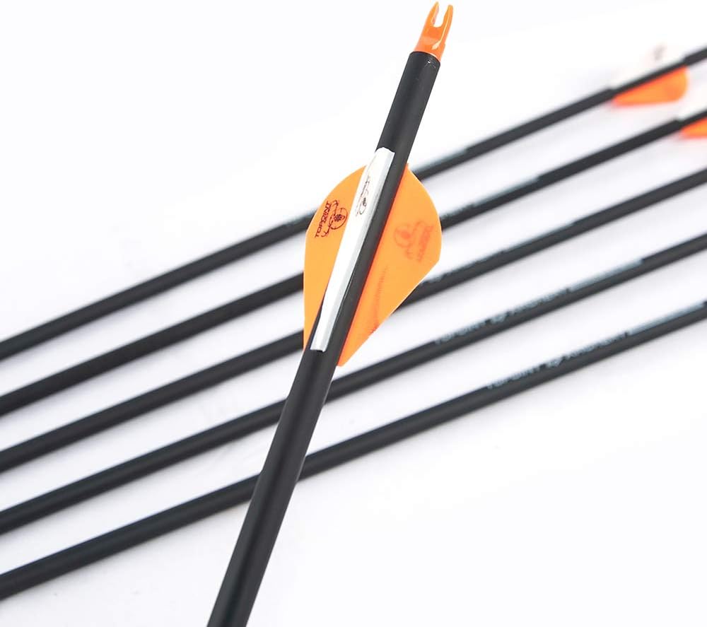 HYF Archery 30Inch Carbon Arrows, Practice Hunting Arrows with Removable Tips for Compound & Recurve Bow, Spine 340/500 (3" 2red 1white-Spine340) (2" 2orange 1white-Spine500) : Sports & Outdoors