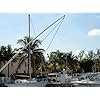 Mooring-Whips-Fixed-Position-Piling-Mounted-14-ft-poles-20000-lb-all-pleasure-craft