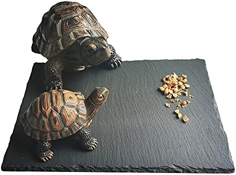tortoise starter kit amazon