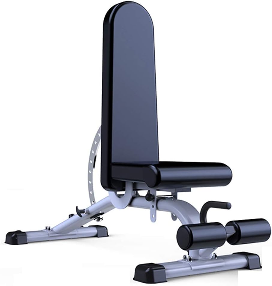 Sports Standard Weight Benches Gym Professional Fitness Chair Dumbbell Bench Multi-Functional Fitness Bed Sit-Up Bench Gym Dedicated, 11-Plate Adjustment (Color : Black, Size : 152 * 46 * 119cm)