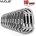 Locking Carabiner Clip 10 PCS Super Lightweight Aluminum D-Ring Keychain Locking for Outdoor Clipping, Camping, Hiking, Fishing