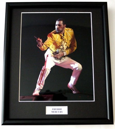 FREDDIE MERCURY/FRAMED PHOTO (1)