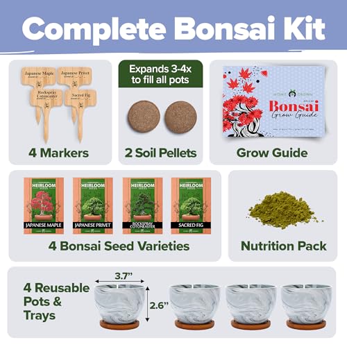 thumbnail image 2 of Complete Bonsai Tree Growing Kit - 5 Types With Pots, Soil & Tools For Indoor Gardening 2 of 14