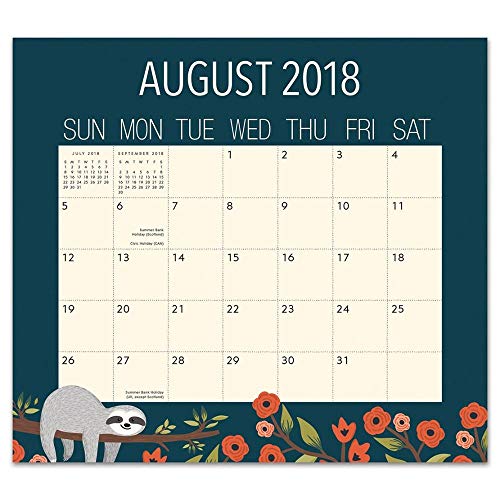 Orange Circle Studio 2019 Magnetic Monthly Calendar Pad, August 2018 - December 2019, Potpourri