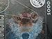 Photomosaics Puzzle: Grey Wolf