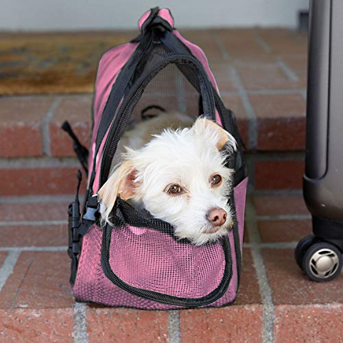 Paws & Pals Airline Approved Pet Carrier SoftSided Carriers for