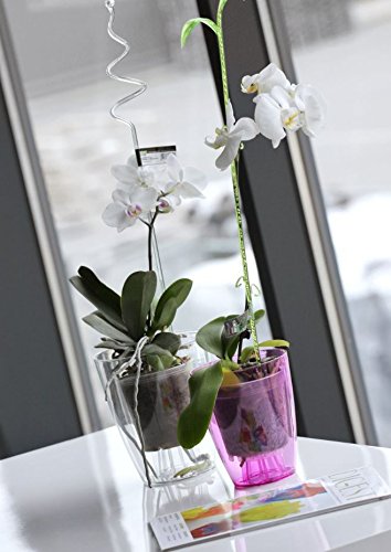 Blumentopf - MultiProject - Blumentöpfe - Pflanzkübel - Blumenkübel - Premium Qualität - am besten für Orchideen… – Bild 4