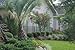 Gardening and Landscaping in Central Florida