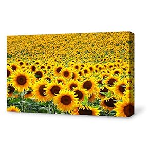 for Living Room Bedroom Home Artwork Paintings Sunflower