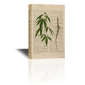 Canvas Wall Art - Green Plant and Roots on Vintage Paper with Independence Statement - Gallery Wrap Modern Home Art | Ready to Hang - 12x18 inches