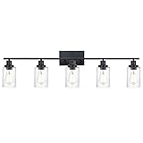 MELUCEE 5-Light Bathroom Light Fixtures in Matte