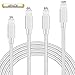 iPhone Lightning Cable charger cord MFi Certified to USB Charging & Syncing charger cord Nylon Braided for 【4Pack 3FT 6FT 6FT 10FT】 (Silver&White)