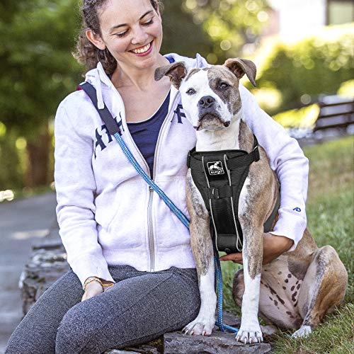 Kurgo Dog Harness Pet Walking Harness Small Black No Pull