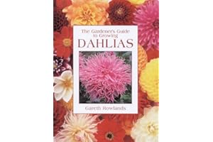 Gardener's Guide to Growing Dahlias