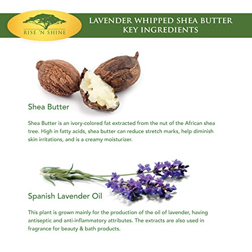 image for Rise 'N Shine Online (8 oz) Lavender Whipped African Shea Butter Cream