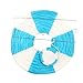 Party Supplies - Set of 5 Lot Hot Air Balloon Paper Lantern Decoration Pom Poms Pompoms Decoration Christmas Wedding Birthday Party Nursery Decoration Parties Favor Party Decor (12inch, Aqua Blue)