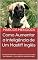 Livro Como Aumentar a Inteligência de Um Mastiff Inglês: Um Mastiff Inglês Mais Inteligente é Um Mastiff Inglês Mais Obediente - Como Adestrar Um Mastiff Inglês