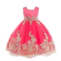 JIANLANPTT Elegant Kids Girls Appliques Embroidered Lace Floral Tulle Dress Children Wedding Party Dress 3-4Years Watermenlon Red