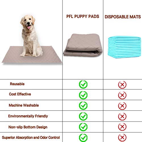 large pet potty patch