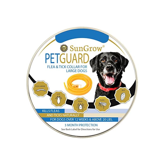 Which Essential Oils Kill Fleas On Dogs