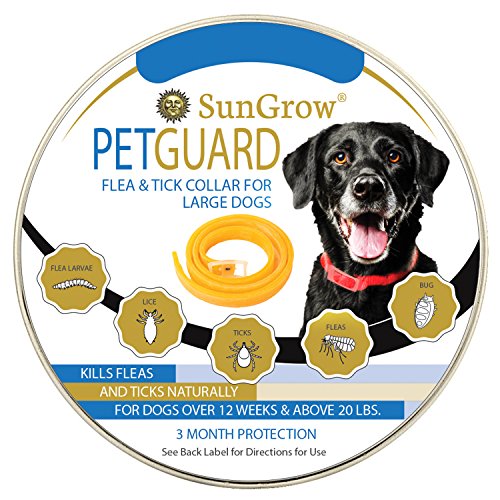 Flea and Tick Collar = 3 Months of protection + Special Water-resistant design + Made with Natural Essential Oils for Pest Control + Non-Greasy & Odorless + Suitable for Large Dogs + Easy to Use
