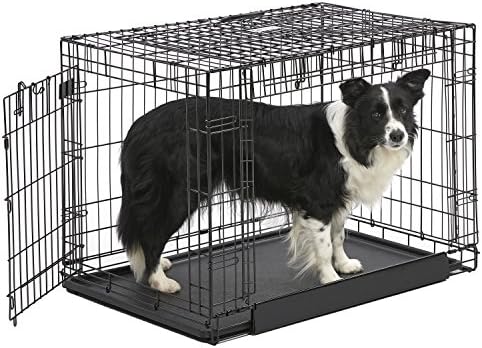 Midwest Homes For Pets Ovation Double Door Dog Crate 36 Inch Amazon Co Uk Pet Supplies