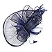 FeiYu Crafts Penny Mesh Hat Fascinator with Mesh Ribbons and Navy Feathers
