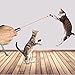Koopman Interactive Cat Toys 2 in 1 Multi Function Funny Cat Chaser Toys LED Light, Cat Laser Pointer Best Training Tool a Cat Toy Mouse
