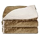 Sunbeam Reversible Sherpa/RoyalMink Heated Throw Blanket with EliteStyle II Controller, Honey,