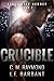 The Crucible (Steel City Heroes Book 2)