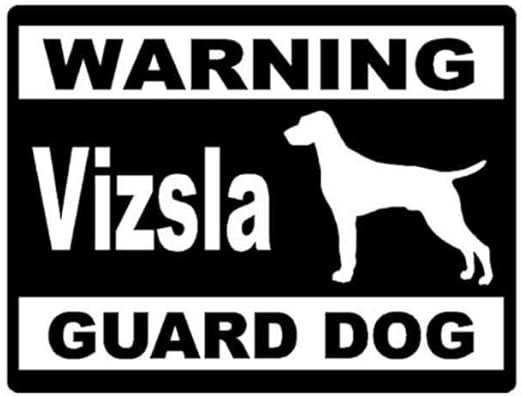 vizsla guard dog