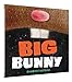 Big Bunny: (Funny Bedtime Read Aloud Book for Kids, Bunny Book)