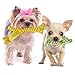 SunGrow Giraffe Cotton Knot Puppy & Ferret Ropes, Handwoven Chew Items for Small Breeds Dog, for Teeth and Gums, 2 Pieces per Pack