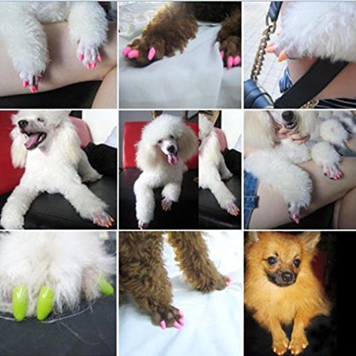 Sunward 20 PCS Nail Caps Nail Covers Claw Caps Paw Covers for Cat Pet Kitten Dog With Glue (S, White) - Thumbnail 3