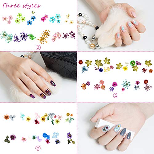 3 Boxes Natural Real Dried Flower Dry Flowers Nail Stickers Colorful with 30PCS Hollow Bezel Trays, Tweezers, for Epoxy Resin Casting Molds, Nail Art, DIY Making Craft, Nail Decals (Set 1)
