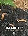 vanille, la route bourbon by 