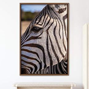 signwin Framed Canvas Wall Art Zebra Animals Dramatic...