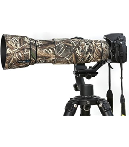 Nikon AF-S FX NIKKOR 200-500mm f/5.6E ED Vibration Reduction Zoom