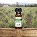 Top 6 Essential Oils Gift Set for Diffuser - #1 Voted Christmas Gifts for Mom, Wife, Women, Grandma, Her for Aromatherapy by Aviano Botanicalsm