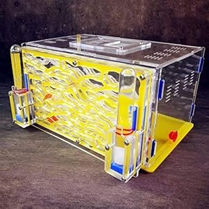 8bayfa Formicaio Ants DreamWorks Big Capacity Acrilico formiche Che Fattoria Castello Diretta Ant Visualizza Habitat…