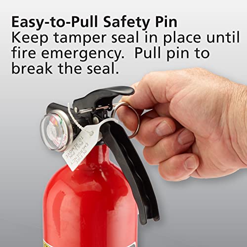 KIDDE FIRE EXTINGUISHER FOR HOME, 1-A:10-B:C, DRY CHEMICAL EXTINGUISHER, RED, MOUNTING BRACKET INCLUDED, 2 PACK